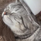 PeluSpa Buharlı Kedi ve Köpek Tarağı - Masaj Etkili Tüy Toplayıcı Fırça
